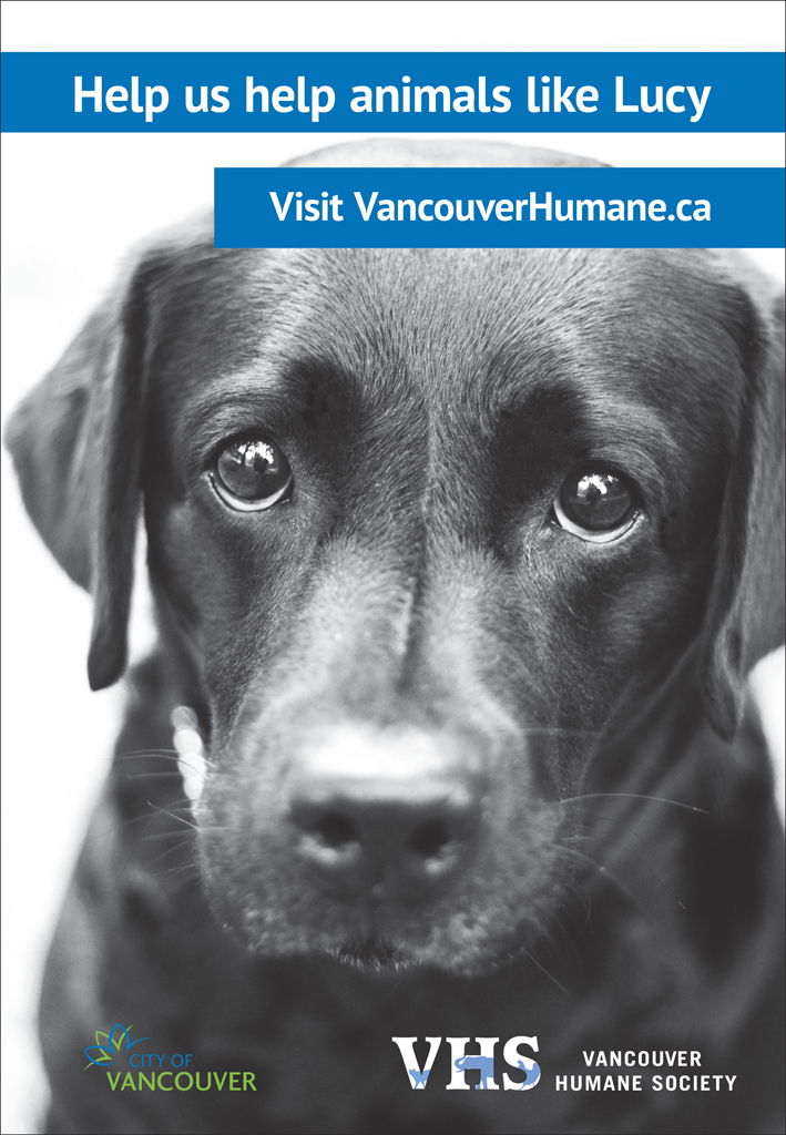 VHS_Transit_Shelter-page-0small