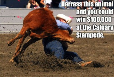 textdead-steer1-040523Rodeo0461