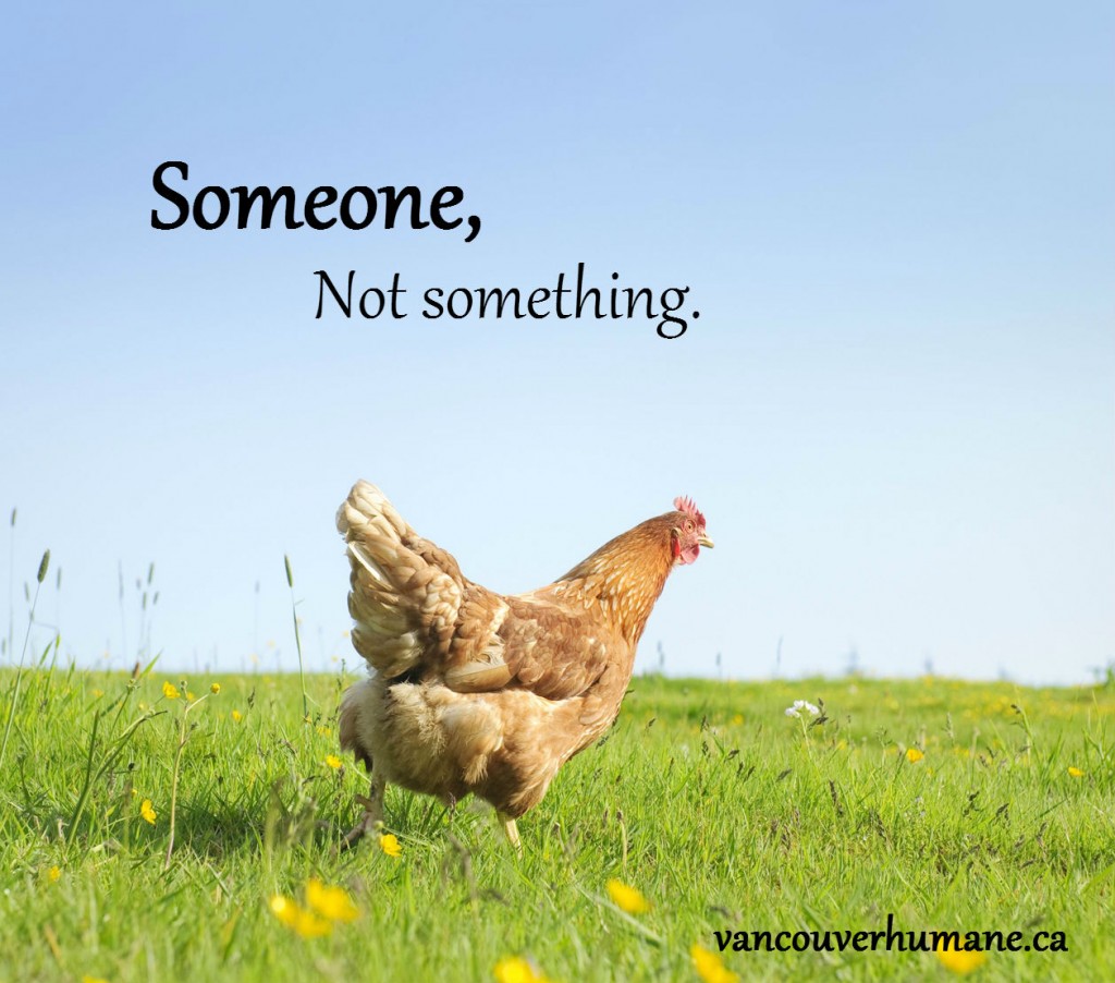 Photo 7 PF Someone not something