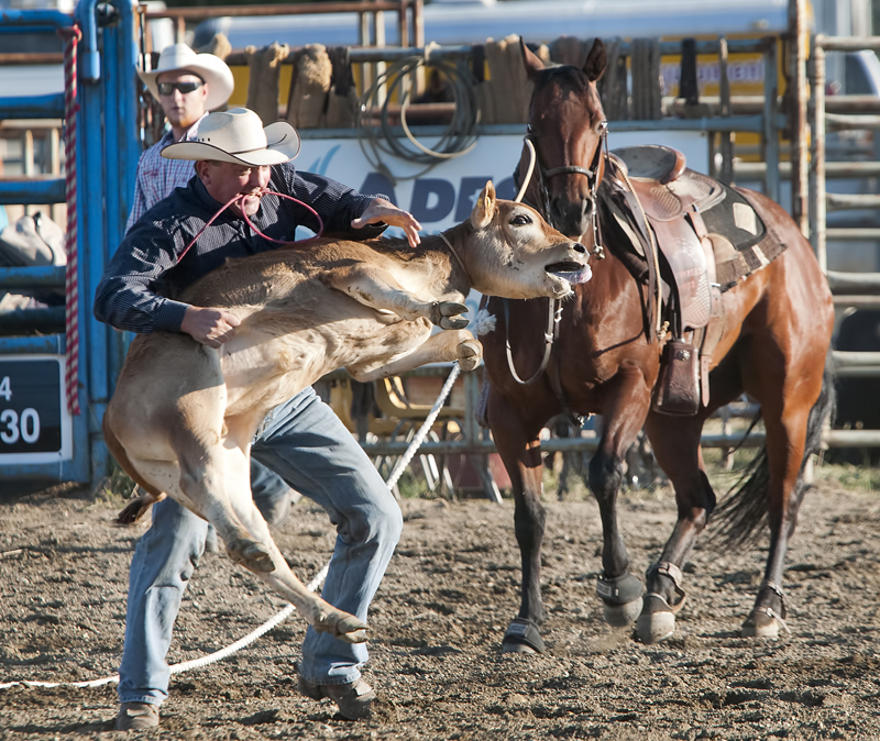 Chilliwack Rodeo