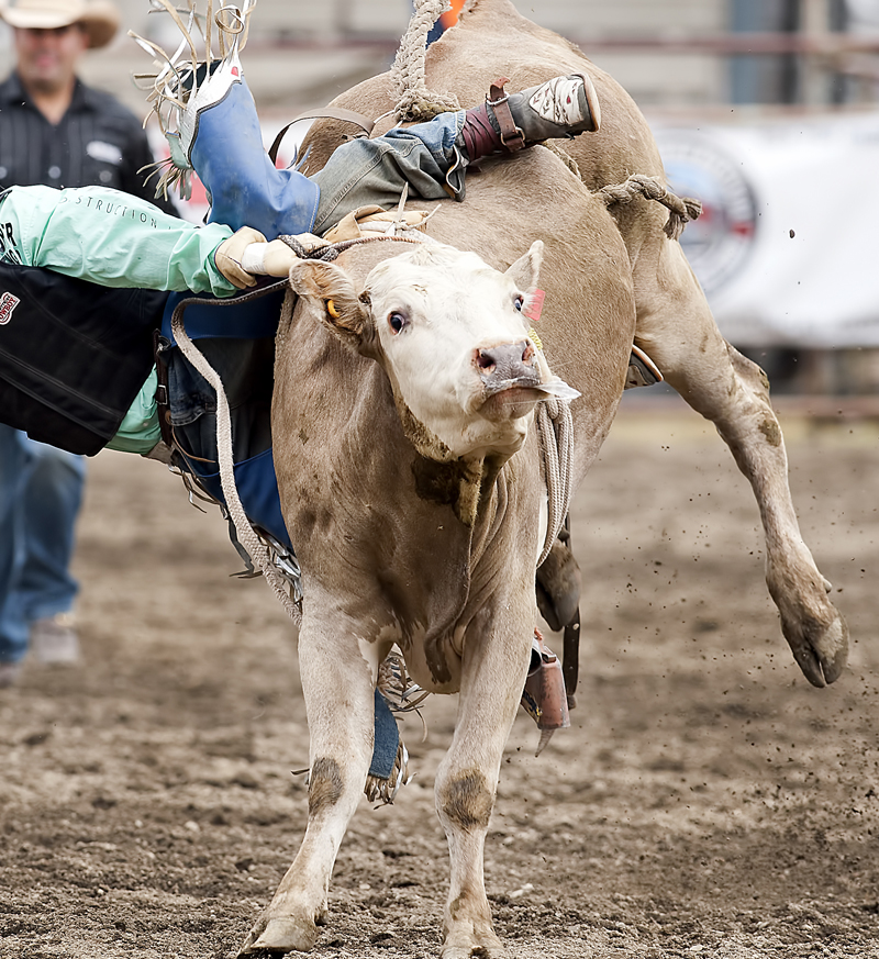 Chilliwack Rodeo - Sunday