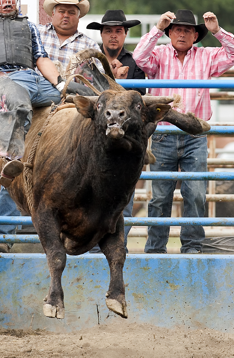 Chilliwack Rodeo - Sunday